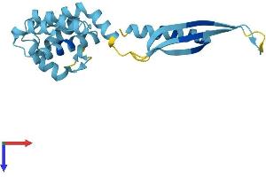 COMMD4 Protein (AA 1-199) (His tag)