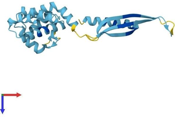 COMMD4 Protein (AA 1-199) (His tag)
