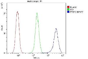Flow Cytometry analysis of THP-1 cells using anti-PTBP2 antibody (ABIN7599452).