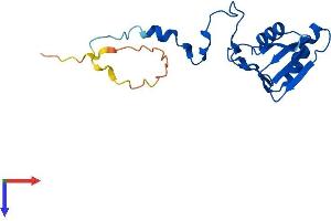 MRPL49 Protein (AA 1-166) (His tag)