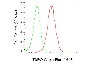 Flow cytometric analysis of TSPO expression in HT- cells using TSPO antibody (ABIN7799775), 1:2,000). (Rekombinanter TSPO Antikörper)
