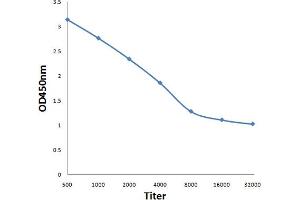 ELISA image for anti-Calcium Channel, Voltage-Dependent, L Type, alpha 1S Subunit (CACNA1S) (AA 951-1001) antibody (ABIN1387901)