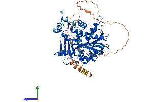 Protein Structure (PS) image for RNA Guanine-7 Methyltransferase (RNMT) (AA 1-476) protein (His tag) (ABIN7549324)