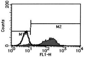 Flow Cytometry (FACS) image for anti-Fas Ligand (TNF Superfamily, Member 6) (FASL) antibody (FITC) (ABIN1105948) (FASL Antikörper  (FITC))