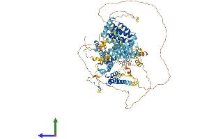Protein Structure (PS) image for Budding Uninhibited By Benzimidazoles 1 Homolog beta (Yeast) (BUB1B) (AA 1-1052) protein (His tag) (ABIN7565280)