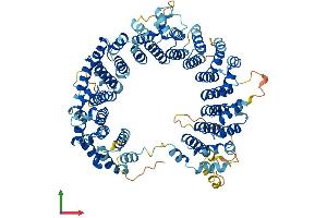 Protein Structure (PS) image for Chromosome 7 Open Reading Frame 27 (C7orf27) (AA 1-821) protein (His tag) (ABIN7552679)