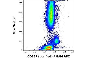 Flow cytometry surface staining pattern of human peripheral whole blood stained using anti-human CD187 (10D1-J16) purified antibody (concentration in sample 1,7 μg/mL, GAM APC). (CXCR7 Antikörper)