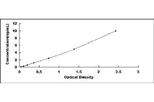 Vitamin D-Binding Protein ELISA Kit