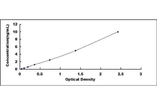 Vitamin D-Binding Protein ELISA Kit