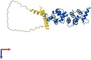 DCUN1D4 Protein (AA 1-292) (His tag)
