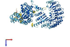 Protein Structure (PS) image for NLR Family, Pyrin Domain Containing 9C (NLRP9C) (AA 1-1004) protein (His tag) (ABIN7563998)
