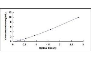 Typical standard curve (SIRT4 ELISA Kit)