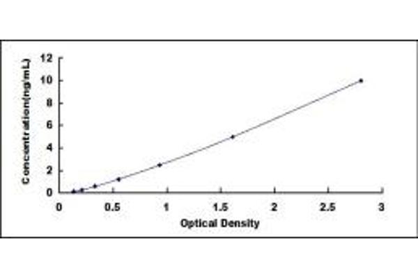 SIRT4 ELISA Kit