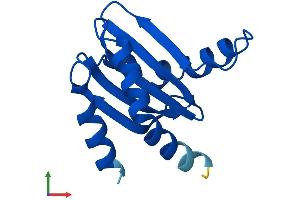 Protein Structure (PS) image for Mitogen-Activated Protein Kinase Kinase 1 Interacting Protein 1 (MAPKSP1) (AA 1-124) protein (His tag) (ABIN7549167)