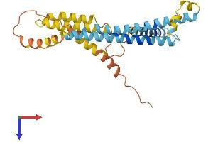 BRI3BP Protein (AA 1-253) (His tag)