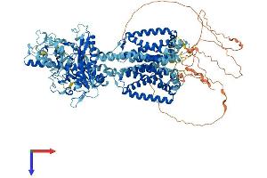 Patched 2 Protein (PTCH2) (AA 1-1203) (His tag)