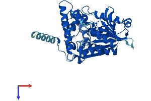 NCEH1 Protein (AA 1-408) (His tag)