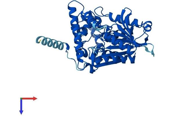 NCEH1 Protein (AA 1-408) (His tag)