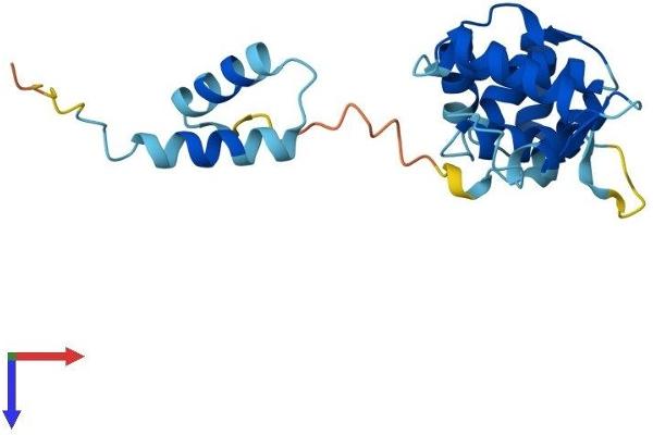 ROPN1B Protein (AA 1-212) (His tag)