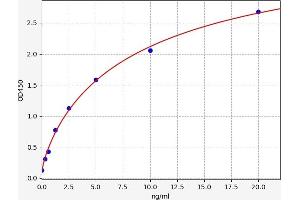 CD51 ELISA Kit