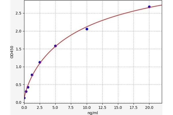 CD51 ELISA Kit