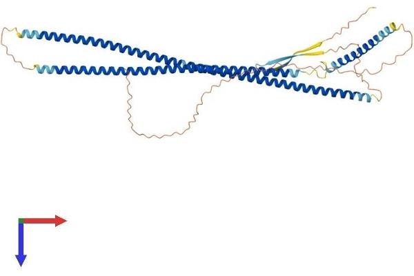 Cytokeratin 28 Protein (KRT28) (AA 1-464) (His tag)
