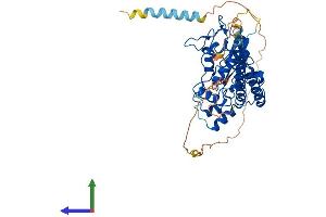 Protein Structure (PS) image for Heparan Sulfate 6-O-Sulfotransferase 3 (HS6ST3) (AA 1-470) protein (His tag) (ABIN7561795)