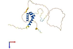 HOXA6 Protein (AA 1-233) (His tag)