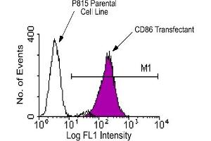 Flow Cytometry (FACS) image for anti-CD86 (CD86) antibody (FITC) (ABIN371013) (CD86 Antikörper  (FITC))
