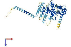 ATAD1 Protein (AA 1-361) (His tag)
