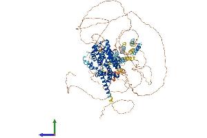 AlphaFold protein structure predicition of Human Recombinant PDE3A Protein, UniprotID Q14432