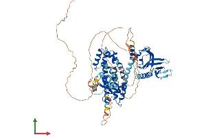 AlphaFold protein structure predicition of Mouse Recombinant Spata13 Protein, UniprotID Q5DU57