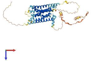 GPR61 Protein (AA 1-449) (His tag)