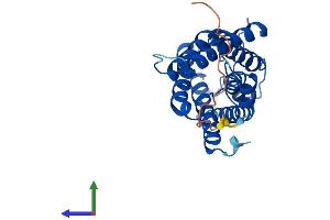 AlphaFold protein structure predicition of Mouse Recombinant Mip Protein, UniprotID P51180