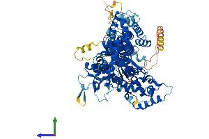 AlphaFold protein structure predicition of Mouse Recombinant Thap12 Protein, UniprotID Q9CUX1