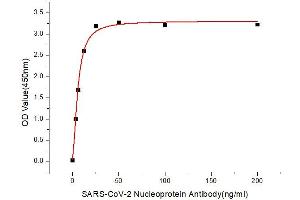Immobilized Recombinant 2019-nCoV Nucleocapsid Protein (RP01264LQ) at 1 μg/mL (100μL/well) can bind SARS-CoV-2 Nucleoprotein Rabbit mAb (ABIN7269048) with a linear range of 3. (Nucleoprotein Antikörper)