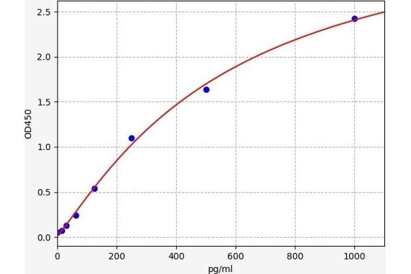 Cofilin 2 ELISA Kit