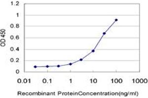 Detection limit for recombinant GST tagged USP10 is approximately 0. (USP10 Antikörper  (AA 699-797))