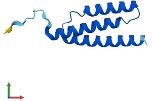 Protein Structure (PS) image for LYR Motif Containing 2 (LYRM2) (AA 1-88) protein (His tag) (ABIN7559613)