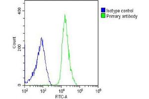Overlay histogram showing U-2OS cells stained with C (green line). (HRPT2 Antikörper  (AA 132-161))