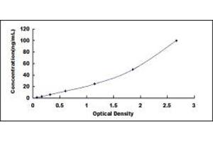 Typical standard curve (alpha KGDHC ELISA Kit)