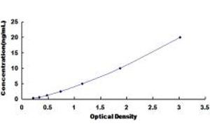 MYOM2 ELISA Kit