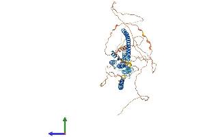 Protein Structure (PS) image for Core-binding Factor, Runt Domain, alpha Subunit 2, Translocated To, 3 (CBFA2T3) (AA 1-620) protein (His tag) (ABIN7562458)