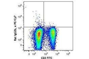 Flow Cytometry (FACS) image for anti-Interleukin 2 (IL2) antibody (PE-Cy7) (ABIN2659370) (IL-2 Antikörper  (PE-Cy7))