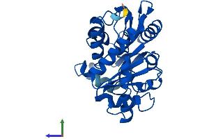 Protein Structure (PS) image for Glucosamine-6-Phosphate Deaminase 2 (GNPDA2) (AA 1-276) protein (His tag) (ABIN7560635)