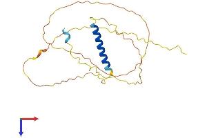 GAP43 Protein (AA 1-227) (His tag)