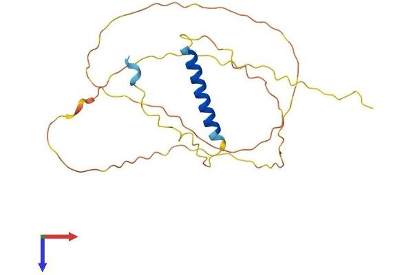 GAP43 Protein (AA 1-227) (His tag)