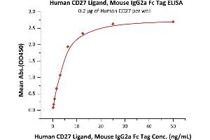 Immobilized Human CD27 (ABIN5955005,ABIN6253520) at 2 μg/mL (100 μL/well) can bind Human CD27 Ligand, Mouse IgG2a Fc Tag, low endotoxin (ABIN5954992,ABIN6253612) with a linear range of 0.