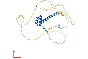 AlphaFold protein structure predicition of Human Recombinant HMX2 Protein, UniprotID A2RU54 (HMX2 Protein (AA 1-273) (His tag))