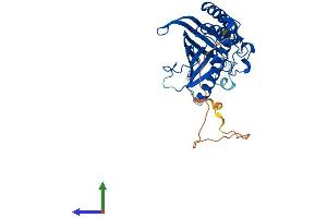 Protein Structure (PS) image for Phosphatidylinositol Transfer Protein, Cytoplasmic 1 (PITPNC1) (AA 1-332) protein (His tag) (ABIN7550799)